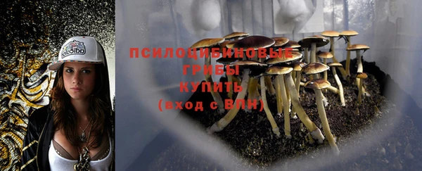 mdpv Балабаново