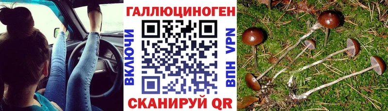 Галлюциногенные грибы Psilocybe Купить закладки Лыткарино